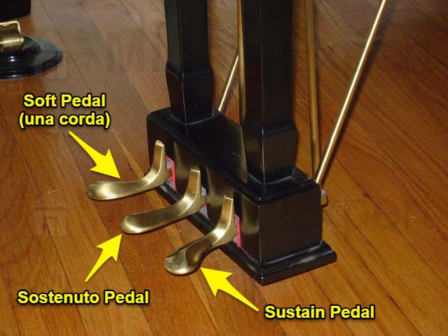 Three Piano Pedals Annotated