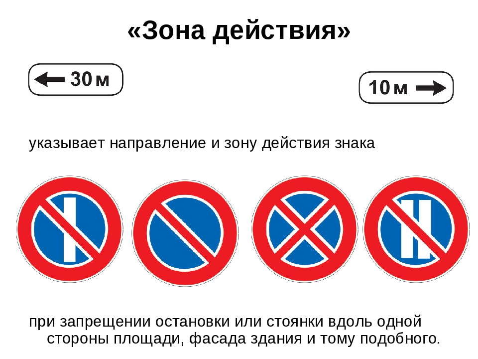 Знак остановка запрещена и стоянка запрещена фото различия