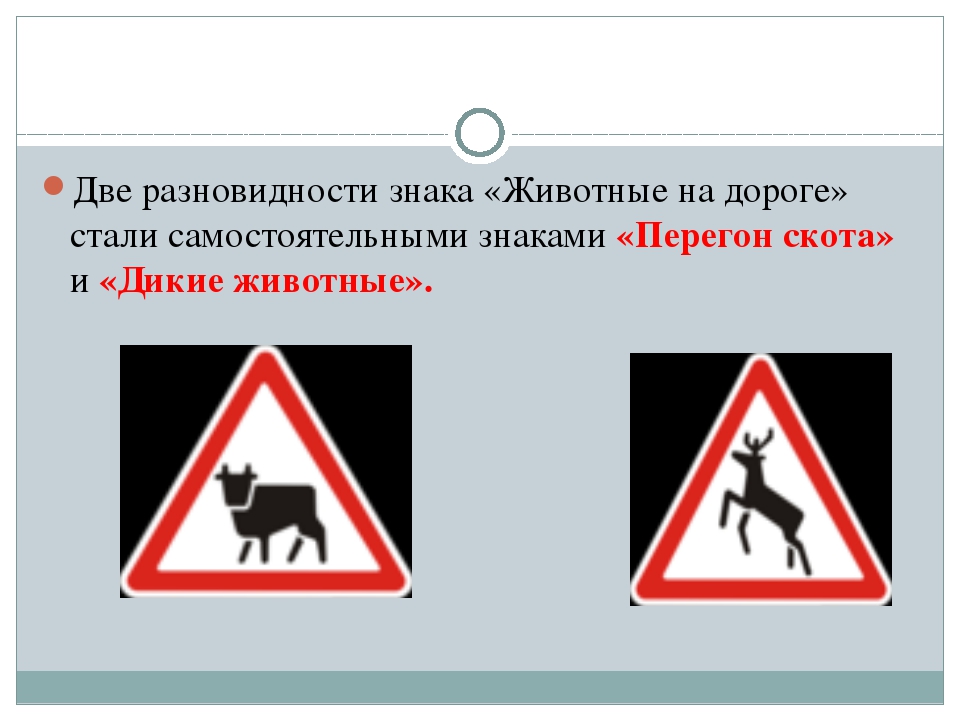 4 номер 1 знаков. Дорожные знаки с животными с пояснениями. Знаки дорожного движения скота. Дорожный знак предупреждающие о выходе животных на дорогу. Предупреждающие дорожные знаки животные для детей.