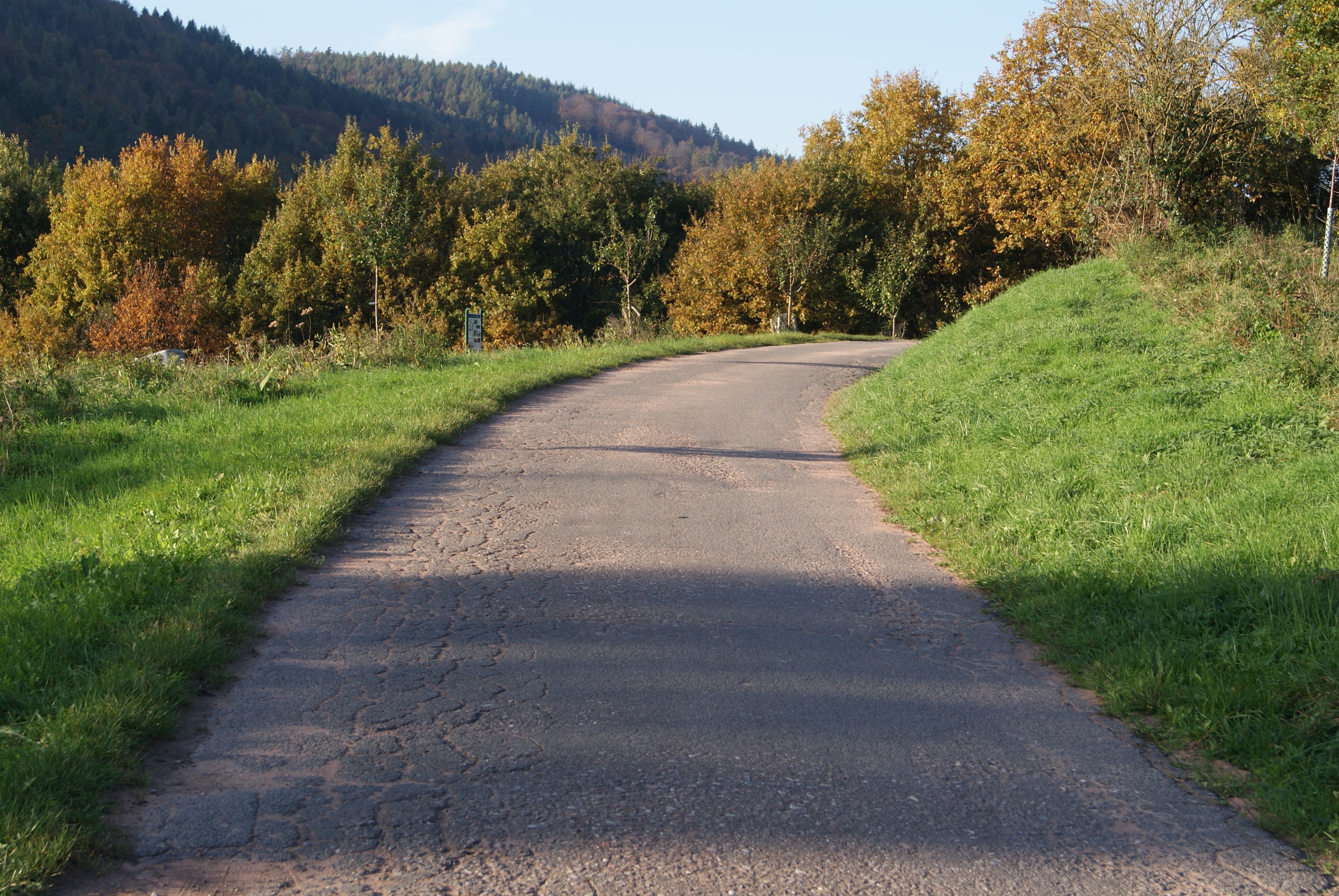 This path. Асфальтирование Проселочная дорога. Обочина дороги. Асфальтированная дорога в лесу. Асфальтированная дорожка.