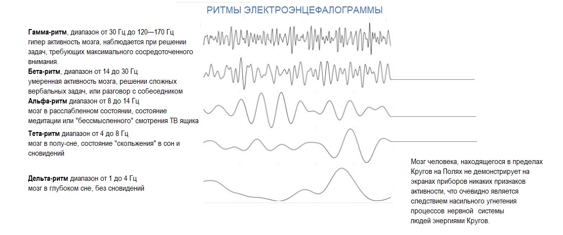 Ритмы энцефалограммы