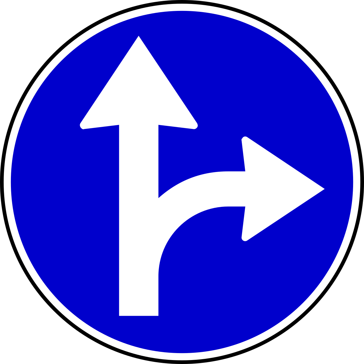Дорожные знаки круглый синий